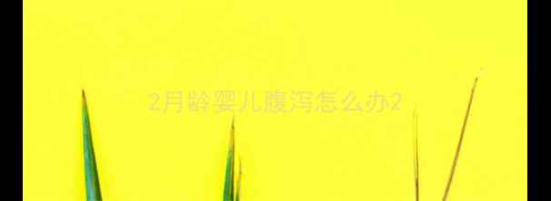 图片 2月龄婴儿腹泻怎么办2