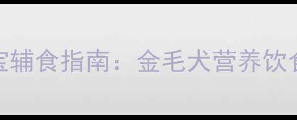 图片 4个月大狗狗宝宝辅食指南：金毛犬营养饮食全（附食谱）2