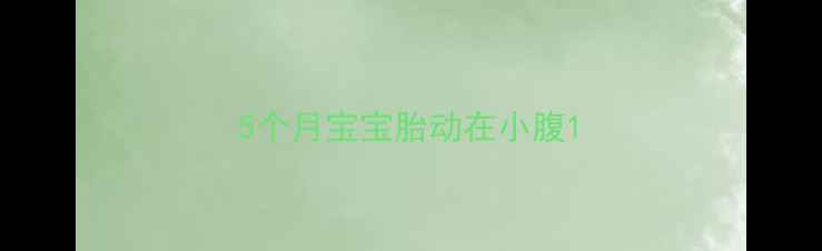 图片 5个月宝宝胎动在小腹1