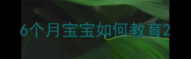 图片 6个月宝宝如何教育2