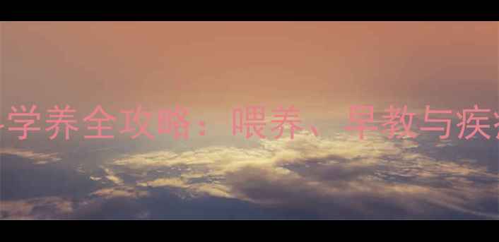 图片 一岁四个月宝宝科学养全攻略：喂养、早教与疾病预防的详细指南