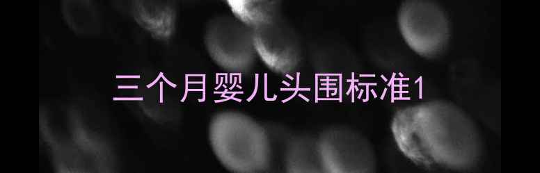 图片 三个月婴儿头围标准1