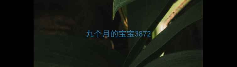 图片 九个月的宝宝3872