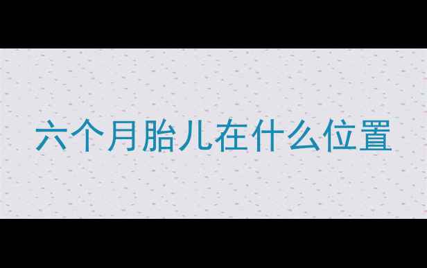 图片 六个月胎儿在什么位置