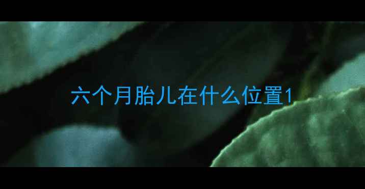 图片 六个月胎儿在什么位置1