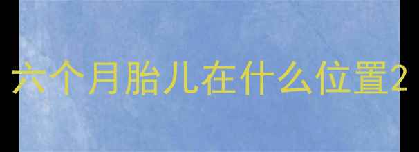 图片 六个月胎儿在什么位置2