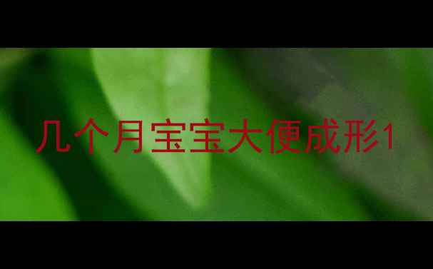 图片 几个月宝宝大便成形1