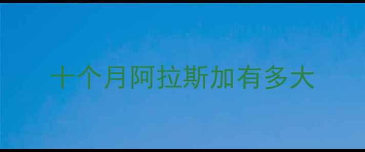 图片 十个月阿拉斯加有多大