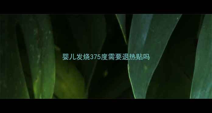 图片 婴儿发烧375度需要退热贴吗