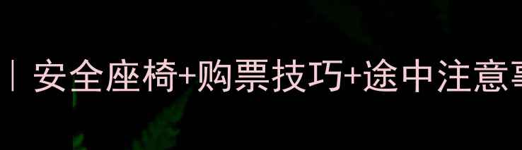 图片 婴儿坐长途车全攻略｜安全座椅+购票技巧+途中注意事项（附避坑指南）1