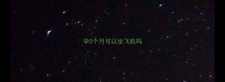 图片 孕3个月可以坐飞机吗