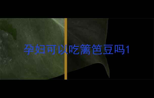 图片 孕妇可以吃篱笆豆吗1