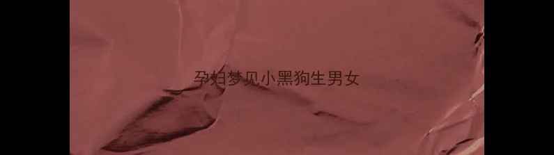 图片 孕妇梦见小黑狗生男女