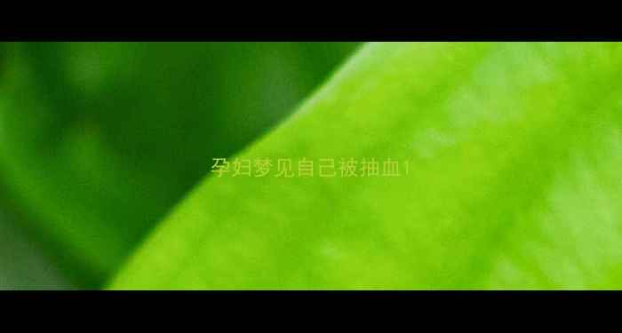 图片 孕妇梦见自己被抽血1