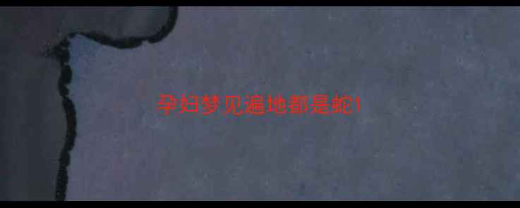 图片 孕妇梦见遍地都是蛇1