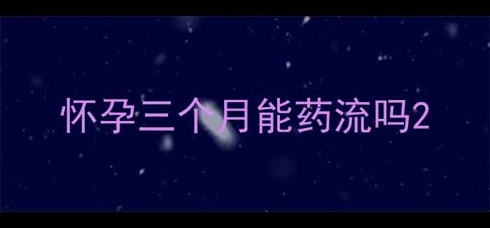 图片 怀孕三个月能药流吗2