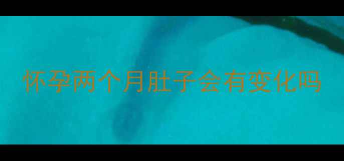 图片 怀孕两个月肚子会有变化吗