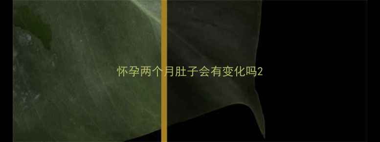 图片 怀孕两个月肚子会有变化吗2