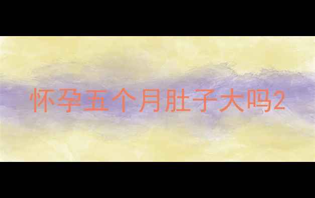 图片 怀孕五个月肚子大吗2