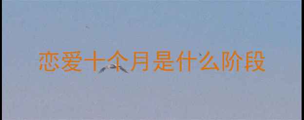 图片 恋爱十个月是什么阶段