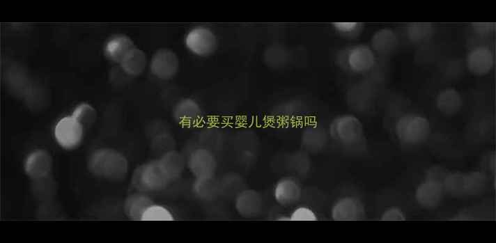图片 有必要买婴儿煲粥锅吗