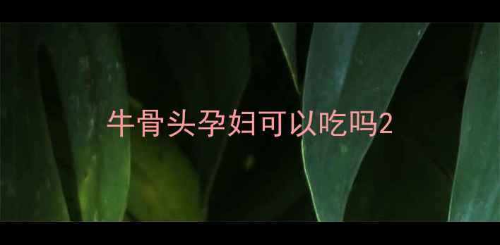 图片 牛骨头孕妇可以吃吗2