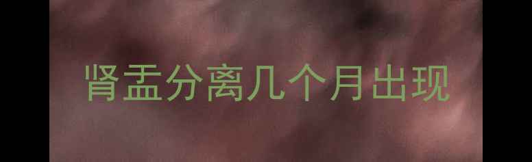 图片 肾盂分离几个月出现