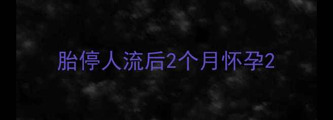 图片 胎停人流后2个月怀孕2