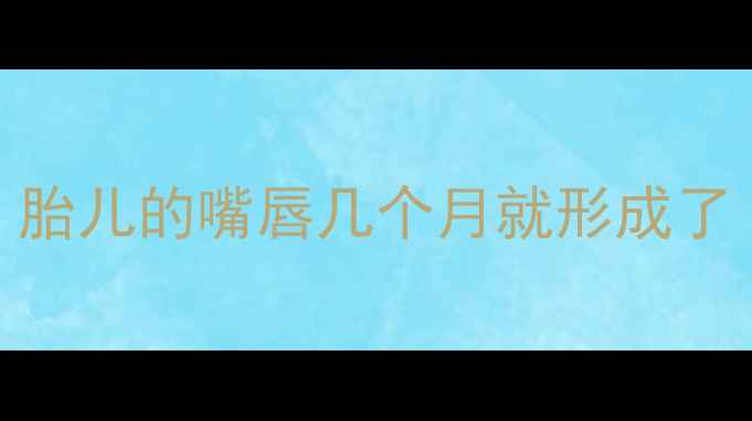图片 胎儿的嘴唇几个月就形成了