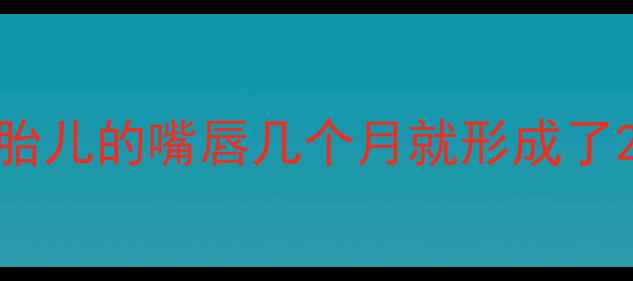 图片 胎儿的嘴唇几个月就形成了2