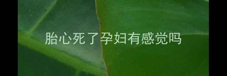 图片 胎心死了孕妇有感觉吗