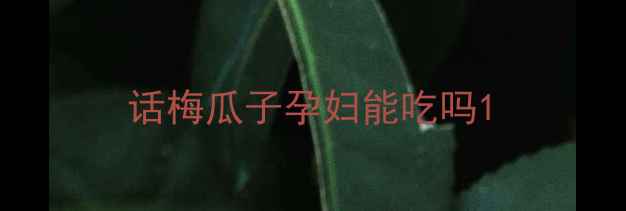 图片 话梅瓜子孕妇能吃吗1