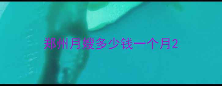 图片 郑州月嫂多少钱一个月2