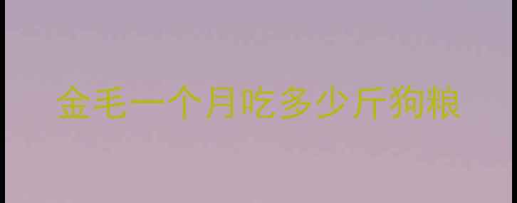 图片 金毛一个月吃多少斤狗粮