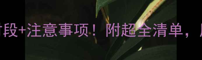 图片 🌸孕期晨间散步黄金时段+注意事项！附超全清单，胎宝健康发育有保障~2